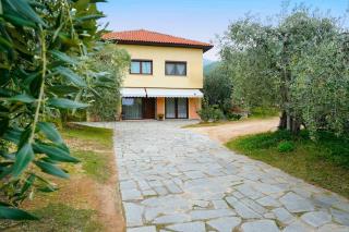 Olive's House - Skala Rachoniou - 8