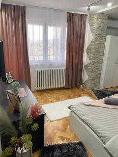 Apartman Bonaca - Niš - 4