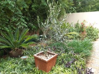 6 Olives on Third - 8