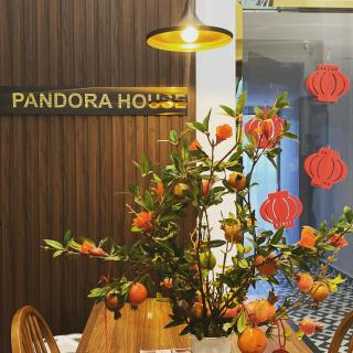 PANDORA HOUSE - Ho Chi Minh - 5