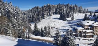 Апартамент Пампорово Палас -Pamporovo Palace - 7