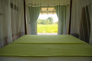 Wild Edge - Wilpattu - Nochchiyagama - 5