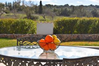 249 Finca Son Alcaines Petit ETV7648 by Mallorca Charme - Sineu - 2
