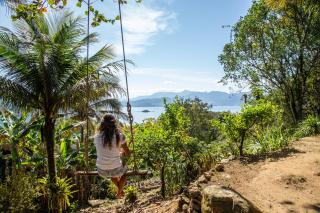 Jungle Lodge - 6