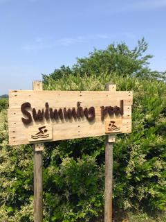 Lucciole Nella Nebbia - 3