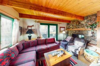 Swinging Bridge House - Basalt - 9