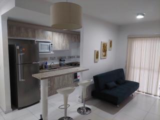 Apartamento Moderno Poços de Caldas - Poços de Caldas - 3