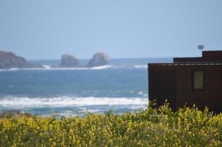 Esfera Pichilemu - Lodge - Pichilemu - 4