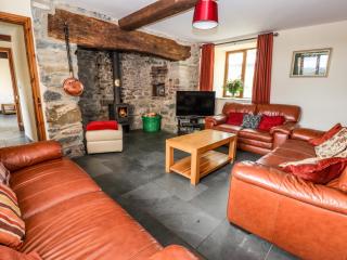 Maestyddyn Farm House - Clocaenog - 7