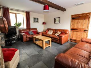 Maestyddyn Farm House - Clocaenog - 6
