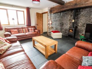 Maestyddyn Farm House - Clocaenog - 5