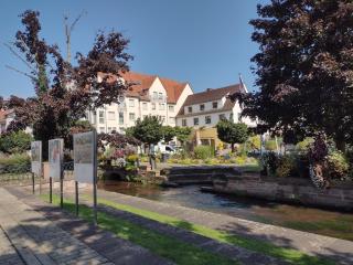 Charmant studio classé 3 étoiles au coeur de Niederbronn-les-Bains - 2