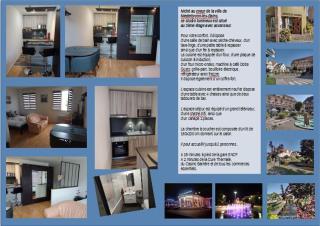 Charmant studio classé 3 étoiles au coeur de Niederbronn-les-Bains - 4