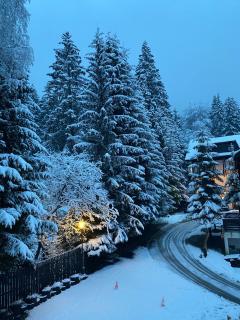 Montana Residence - Poiana Brasov - 6