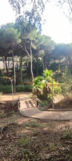 BEACH FOREST PARADISE - Cabopino - 7
