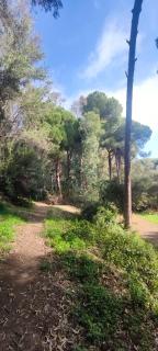 BEACH FOREST PARADISE - Cabopino - 4