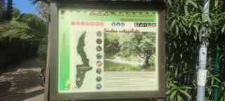 BEACH FOREST PARADISE - Cabopino - 1