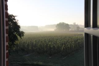 Hoeve Luitenant Halleux - Linter - 7