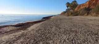 Minichalet del Sol - Campoamor - 0