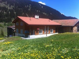 Casa Aurora - Sedrun - 8