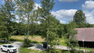 Apartmán D5 Nová Pec - 7