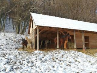Oddychový pobyt na rodinnej farme - Matiaška - 9