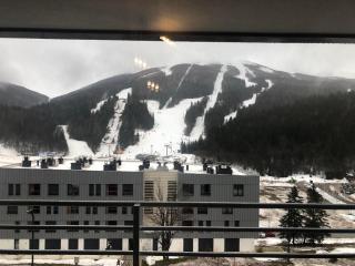 Bjelašnica mountain view apartment - 8