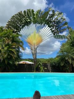 Fleur des Caraïbes - Sainte-Anne - 0