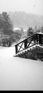 Shelter - Kalavrita - 7