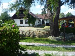 Chalupa Olšina 31 - Ferienhaus - Horní Planá - 9