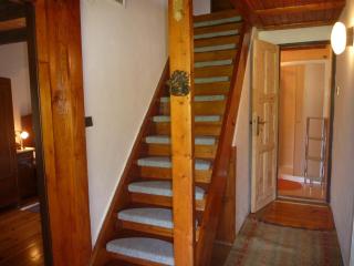 Chalupa Olšina 31 - Ferienhaus - 1