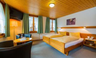 Swiss Lodge Joopi - Reckingen - Gluringen - 4