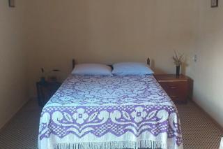 Casa das Orquídeas - Marmelopolis - 8