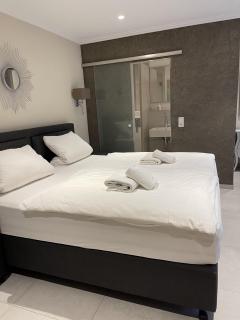 Hotel Gambrinus Arnsberg - Arnsberg - 9