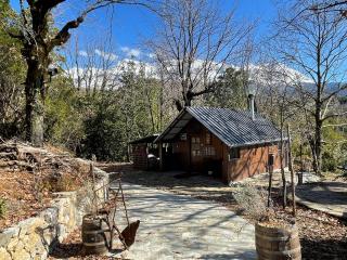 Η καλύβα του Τρύφωνα - Pholeos Mountain Homes - 6