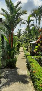 Phuket Sirinapha Resort - Nai Yang Beach - 2