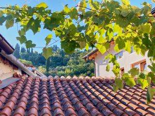 La Figarola - Traditional Townhouse Piran - Piran - 1