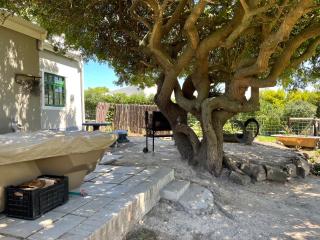 Kleine Vrede Farm Cottage - Hermanus - 3
