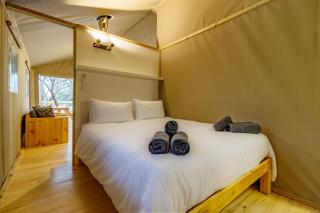 AfriCamps Hoedspruit - Hoedspruit - 3