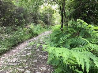 CASA DE DOÑA MARIA VALDELARCO - 9