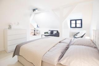 U Zlaté hvězdy apartmán Jungmann - Leitmeritz - 8