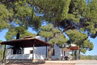 Finca Bonaire Alicante - Jijona - 4
