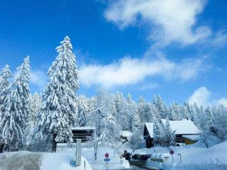 H&P Touristik Residenz Grafenmatt GRA-2-2 - Feldberg - 7