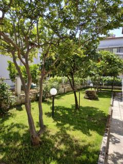 seniorita holidays - Nea Moudania - 7