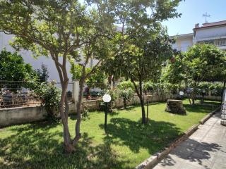 seniorita holidays - Nea Moudania - 2