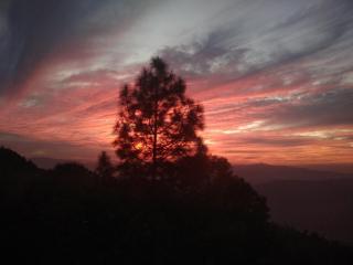 Mehra Cottage - Almora - 9