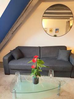 New ! VUE PETITE VENISE-PLACE TO BE OLD TOWN - PARKING - Colmar - 1