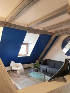 New ! VUE PETITE VENISE-PLACE TO BE OLD TOWN - PARKING - Colmar - 3