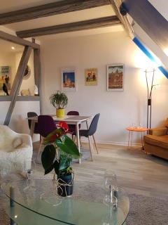 New ! VUE PETITE VENISE-PLACE TO BE OLD TOWN - PARKING - Colmar - 2