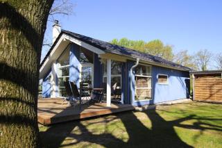 Ferienhaus Seeadler mit Sauna am Duemmer See - 9